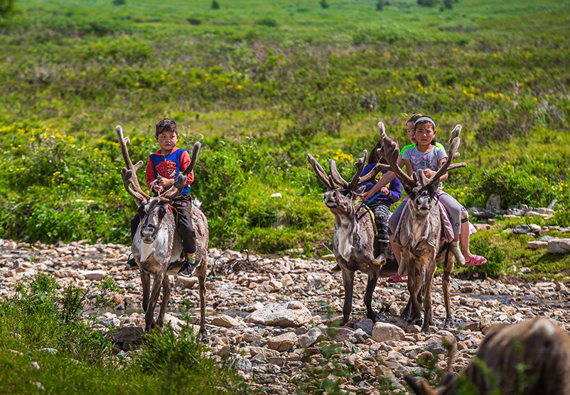 Reindeer kids